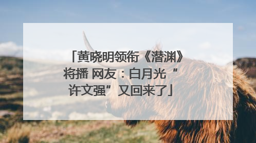 黄晓明领衔《潜渊》将播 网友：白月光“许文强”又回来了