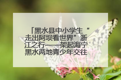 黑水县中小学生“走出阿坝看世界”浙江之行——架起海宁黑水两地青少年交往交流交融新桥梁