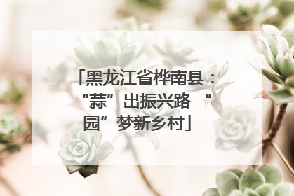 黑龙江省桦南县：“蒜”出振兴路 “园”梦新乡村