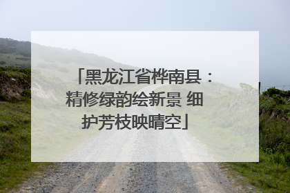 黑龙江省桦南县：精修绿韵绘新景 细护芳枝映晴空