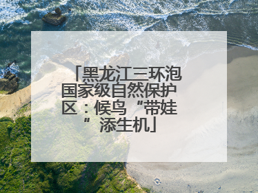 黑龙江三环泡国家级自然保护区：候鸟“带娃”添生机