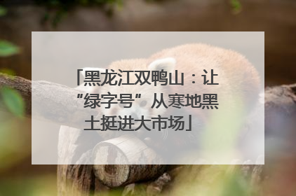 黑龙江双鸭山：让“绿字号”从寒地黑土挺进大市场