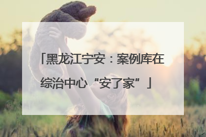 黑龙江宁安：案例库在综治中心“安了家”