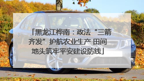 黑龙江桦南：政法“三箭齐发”护航农业生产 田间地头筑牢平安建设防线