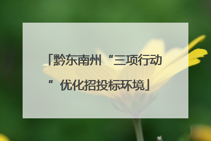 黔东南州“三项行动”优化招投标环境