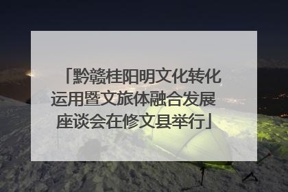 黔赣桂阳明文化转化运用暨文旅体融合发展座谈会在修文县举行