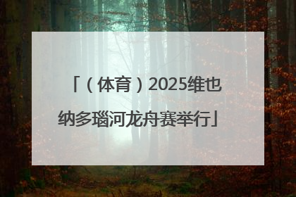 （体育）2025维也纳多瑙河龙舟赛举行