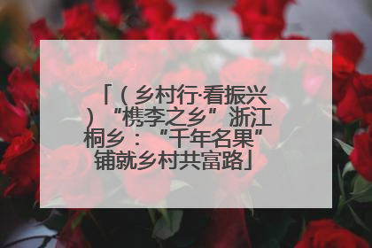 （乡村行·看振兴）“槜李之乡”浙江桐乡：“千年名果”铺就乡村共富路