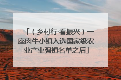 （乡村行·看振兴）一座肉牛小镇入选国家级农业产业强镇名单之后