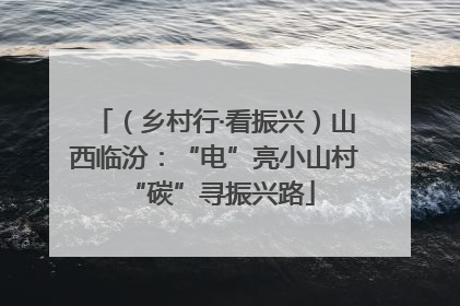 （乡村行·看振兴）山西临汾：“电”亮小山村 “碳”寻振兴路
