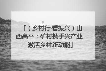 （乡村行·看振兴）山西高平：矿村携手兴产业 激活乡村新动能