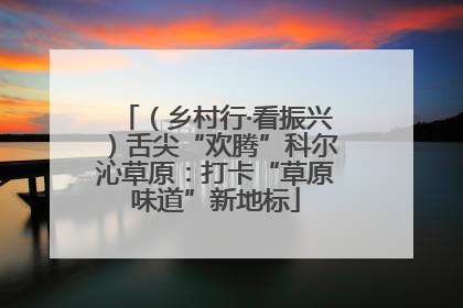 （乡村行·看振兴）舌尖“欢腾”科尔沁草原：打卡“草原味道”新地标