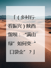 （乡村行·看振兴）陕西留坝：“满山绿”如何变“口袋金”？