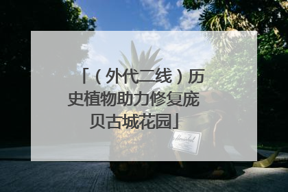 （外代二线）历史植物助力修复庞贝古城花园