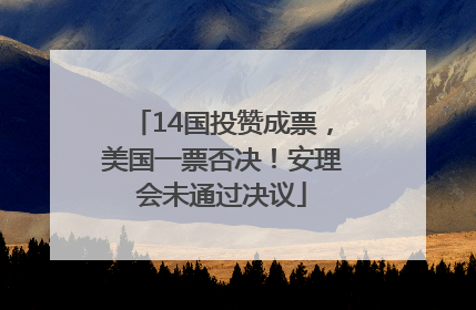 14国投赞成票，美国一票否决！安理会未通过决议