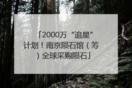 2000万“追星”计划！南京陨石馆（筹）全球采购陨石