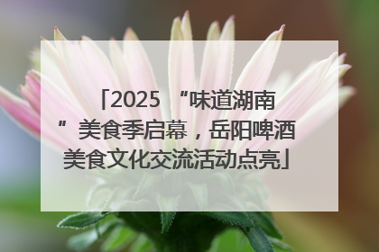 2025 “味道湖南”美食季启幕，岳阳啤酒美食文化交流活动点亮