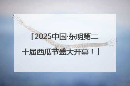 2025中国·东明第二十届西瓜节盛大开幕！