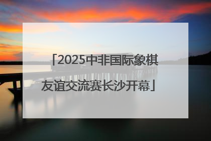 2025中非国际象棋友谊交流赛长沙开幕