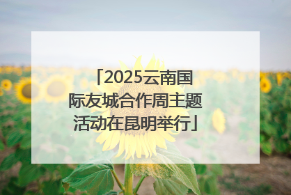 2025云南国际友城合作周主题活动在昆明举行