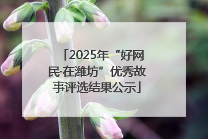 2025年“好网民·在潍坊”优秀故事评选结果公示