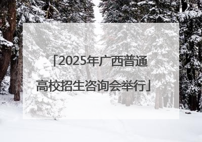 2025年广西普通高校招生咨询会举行