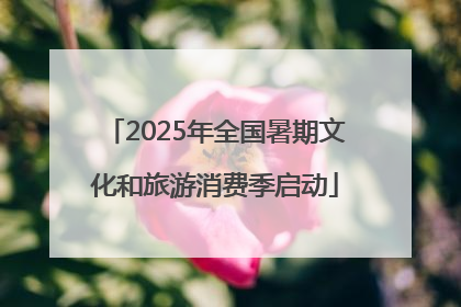 2025年全国暑期文化和旅游消费季启动