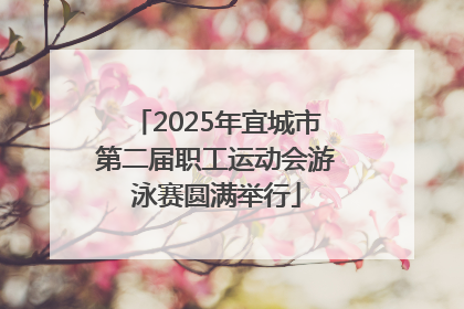 2025年宜城市第二届职工运动会游泳赛圆满举行