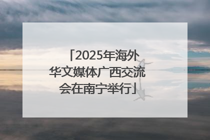 2025年海外华文媒体广西交流会在南宁举行