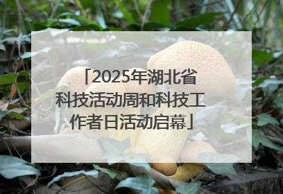 2025年湖北省科技活动周和科技工作者日活动启幕