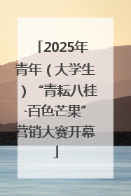 2025年青年（大学生）“青耘八桂·百色芒果”营销大赛开幕