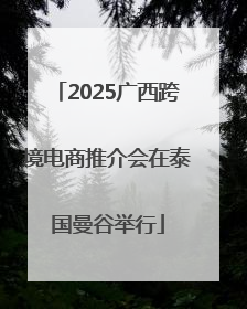 2025广西跨境电商推介会在泰国曼谷举行