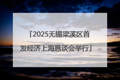 2025无锡梁溪区首发经济上海恳谈会举行
