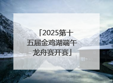 2025第十五届金鸡湖端午龙舟赛开赛