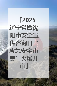 2025辽宁省暨沈阳市安全宣传咨询日“应急安全市集”火爆开市