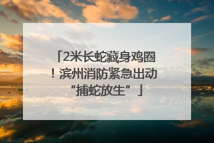 2米长蛇藏身鸡圈！滨州消防紧急出动“捕蛇放生”