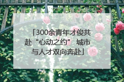 300余青年才俊共赴“心动之约” 城市与人才双向奔赴