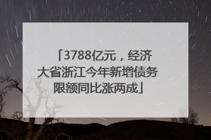 3788亿元，经济大省浙江今年新增债务限额同比涨两成