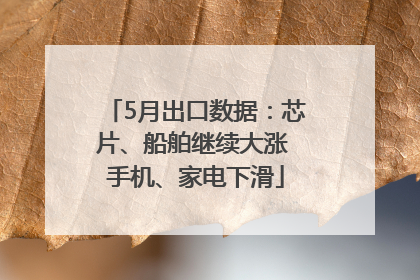 5月出口数据：芯片、船舶继续大涨 手机、家电下滑