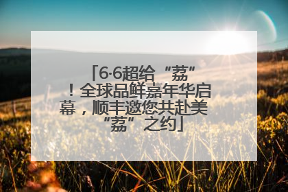6·6超给“荔”！全球品鲜嘉年华启幕，顺丰邀您共赴美“荔”之约