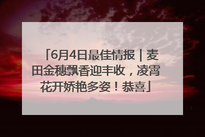 6月4日最佳情报｜麦田金穗飘香迎丰收，凌霄花开娇艳多姿！恭喜