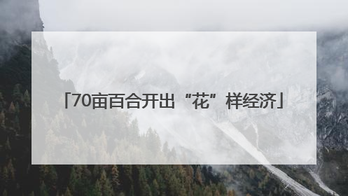 70亩百合开出“花”样经济