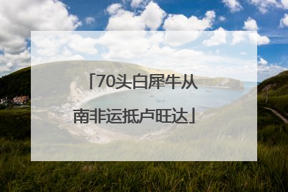 70头白犀牛从南非运抵卢旺达