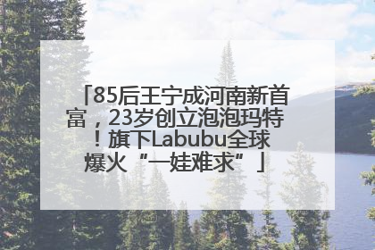 85后王宁成河南新首富，23岁创立泡泡玛特！旗下Labubu全球爆火“一娃难求”