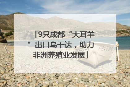 9只成都“大耳羊”出口乌干达，助力非洲养殖业发展