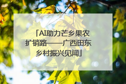 AI助力芒乡果农扩销路——广西田东乡村振兴见闻