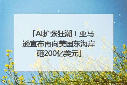 AI扩张狂潮！亚马逊宣布再向美国东海岸砸200亿美元