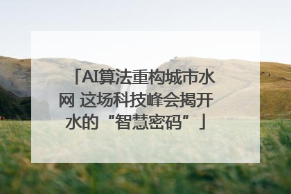 AI算法重构城市水网 这场科技峰会揭开水的“智慧密码”