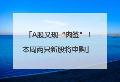 A股又现“肉签”！本周两只新股将申购