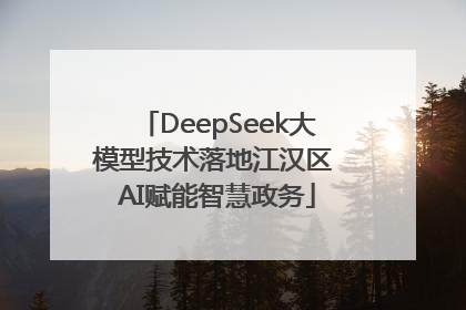 DeepSeek大模型技术落地江汉区 AI赋能智慧政务